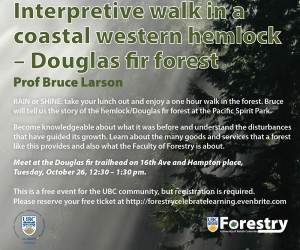 Interpretive Forest Walk in Pacific Spirit Park