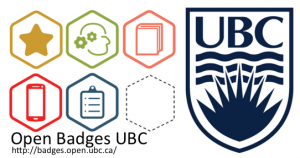 Open Badge Implementation – Perspectives from the External Badging Community